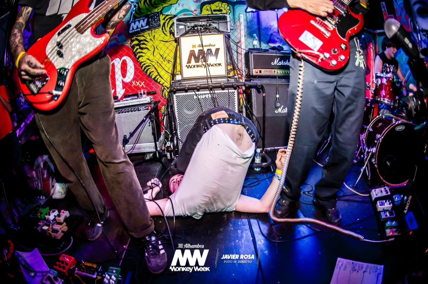 Bild zur Sendereihe Encanto de Monkey Week: Musikmix aus Sevilla