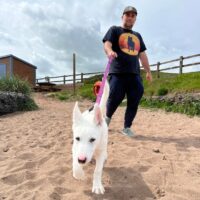 Snowdragons Snowdragons