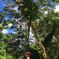 IMG_0501-min IMG_0501-min