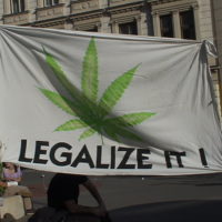 transparent: legalize it - transparent: legalize it