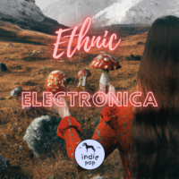 Indie Pop Ethnic electronica Curativa MIX - Indie Pop Ethnic electronica Curativa MIX