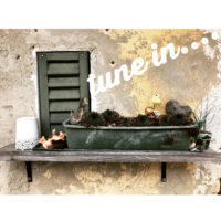 CA2D2366-295F-4FAE-9607-D6C2B7C0AA8F CA2D2366-295F-4FAE-9607-D6C2B7C0AA8F