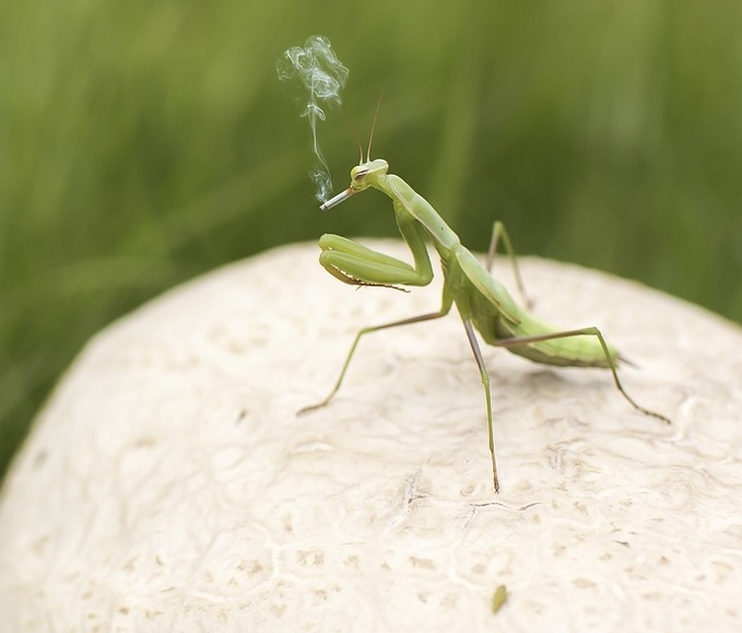 Függőségek hálójában: mit tehet a család?