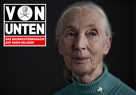 Bild zur Sendereihe Jane Goodall: Reasons for Hope