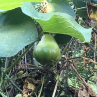 IMG_0520-min IMG_0520-min