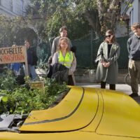 Cabriobeet_Katharina Egg