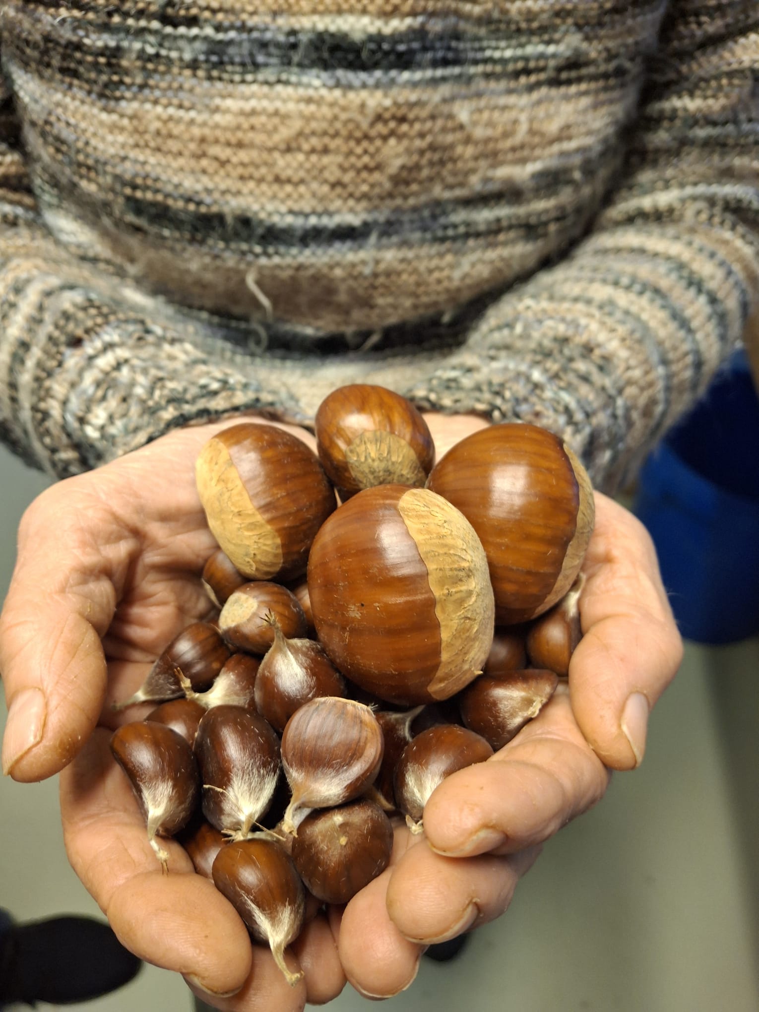 30 Jahre Kastanienfest in Klostermarienberg