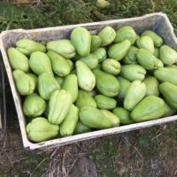 IMG_0522-min IMG_0522-min