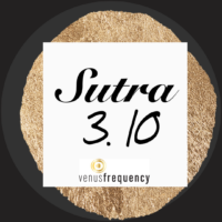 Canva Sutra 3.10
