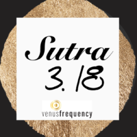 Canva Sutra 3.18
