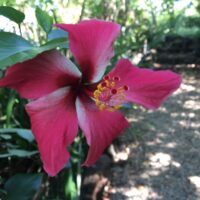 IMG_0555-min IMG_0555-min