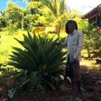 DOMINICA-min DOMINICA-min