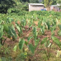 IMG_0493-min IMG_0493-min